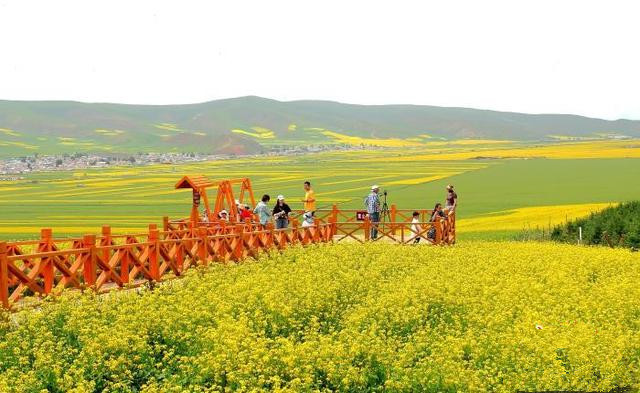 青島推動(dòng)文旅項(xiàng)目多領(lǐng)域、多業(yè)態(tài)、多層次發(fā)展